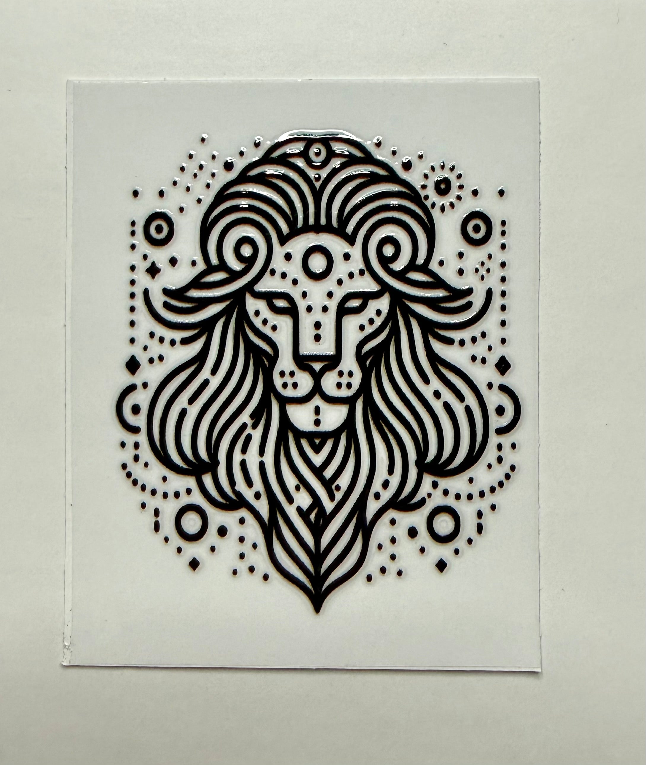 Zodiac 8 Decals