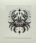Zodiac 9 Decals