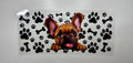 Animal 69 Decals