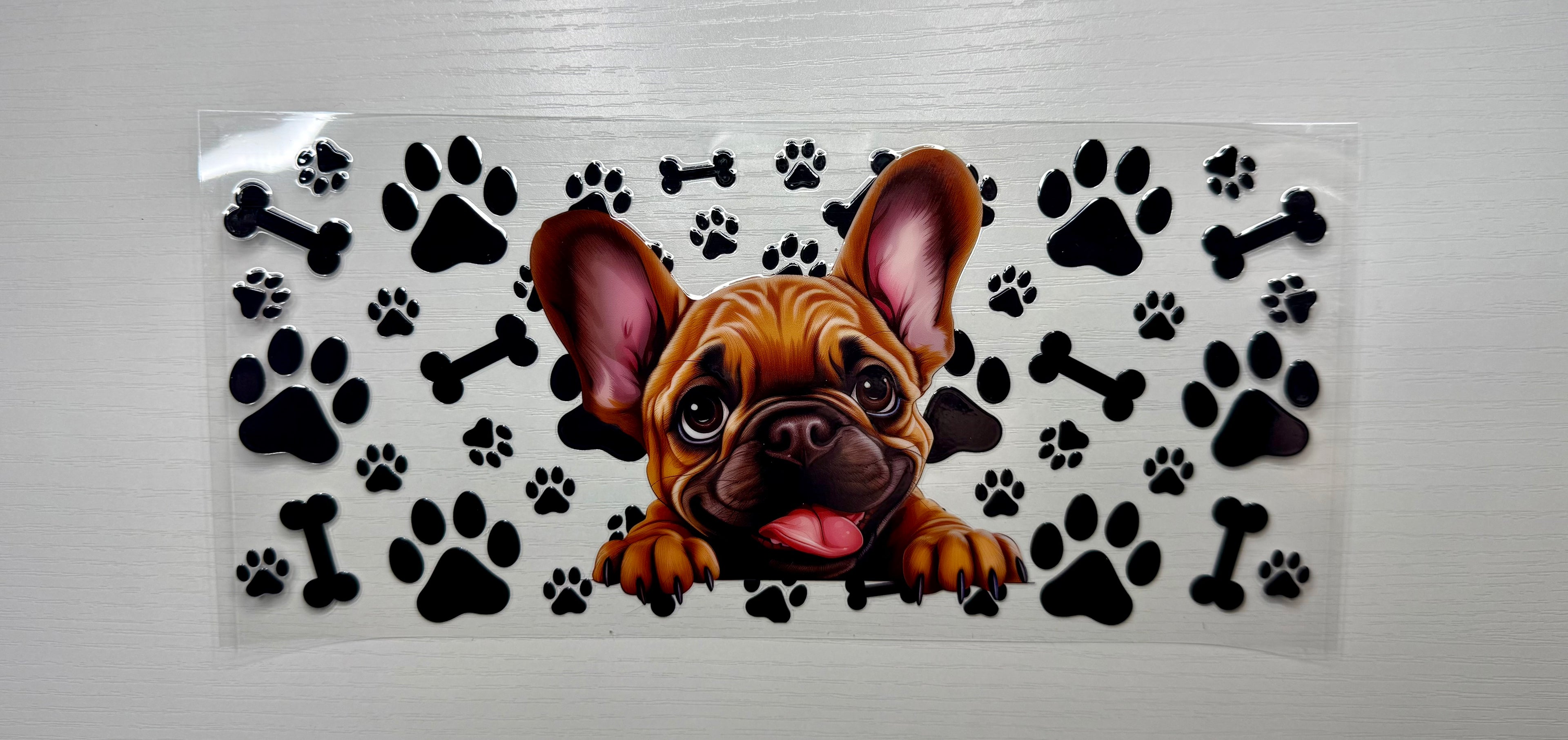 Animal 69 Decals