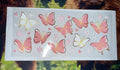 Animal 3 Decals