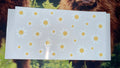 Spring/Summer 20 Decals