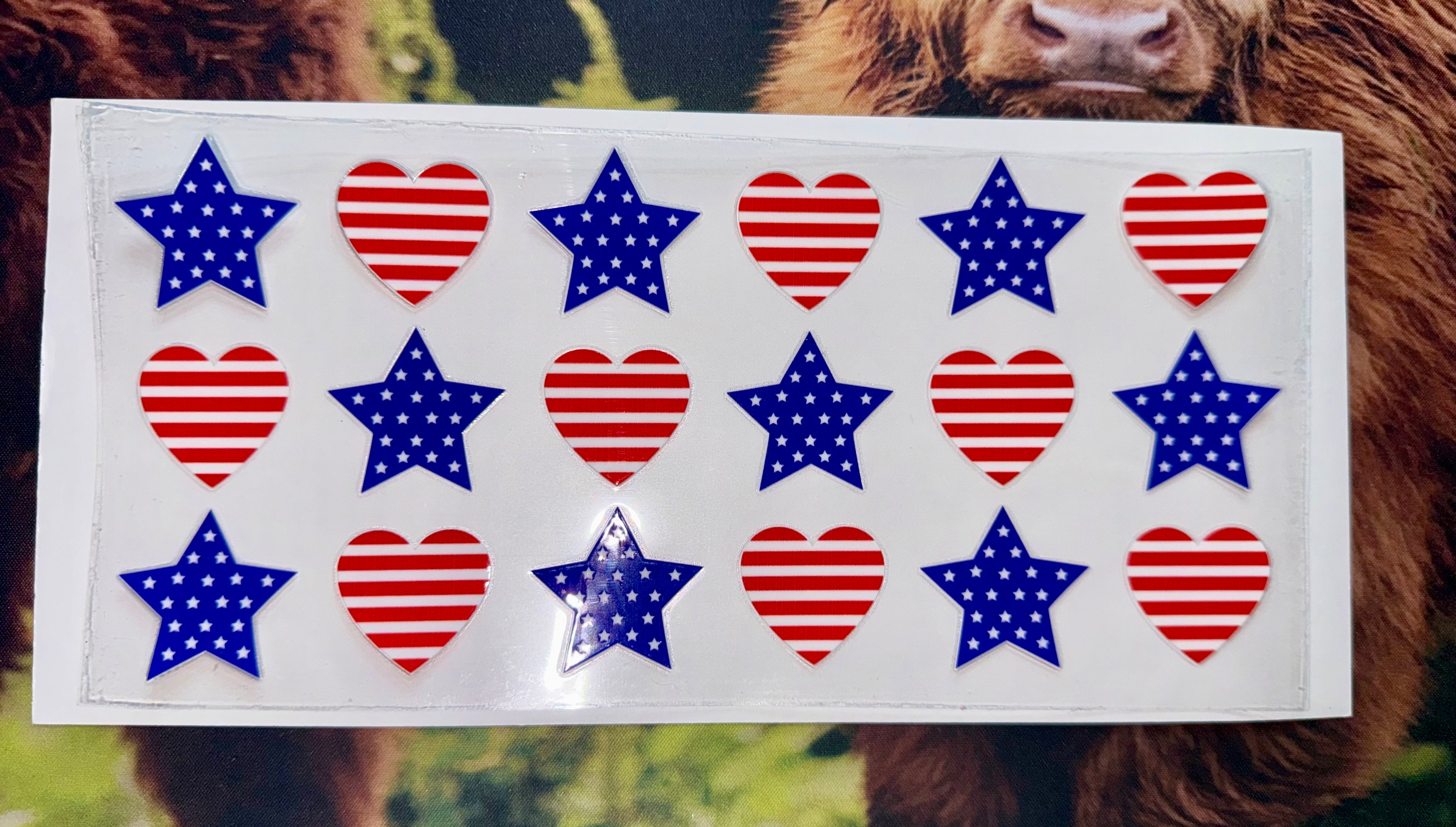 Spring/Summer 12 Decals