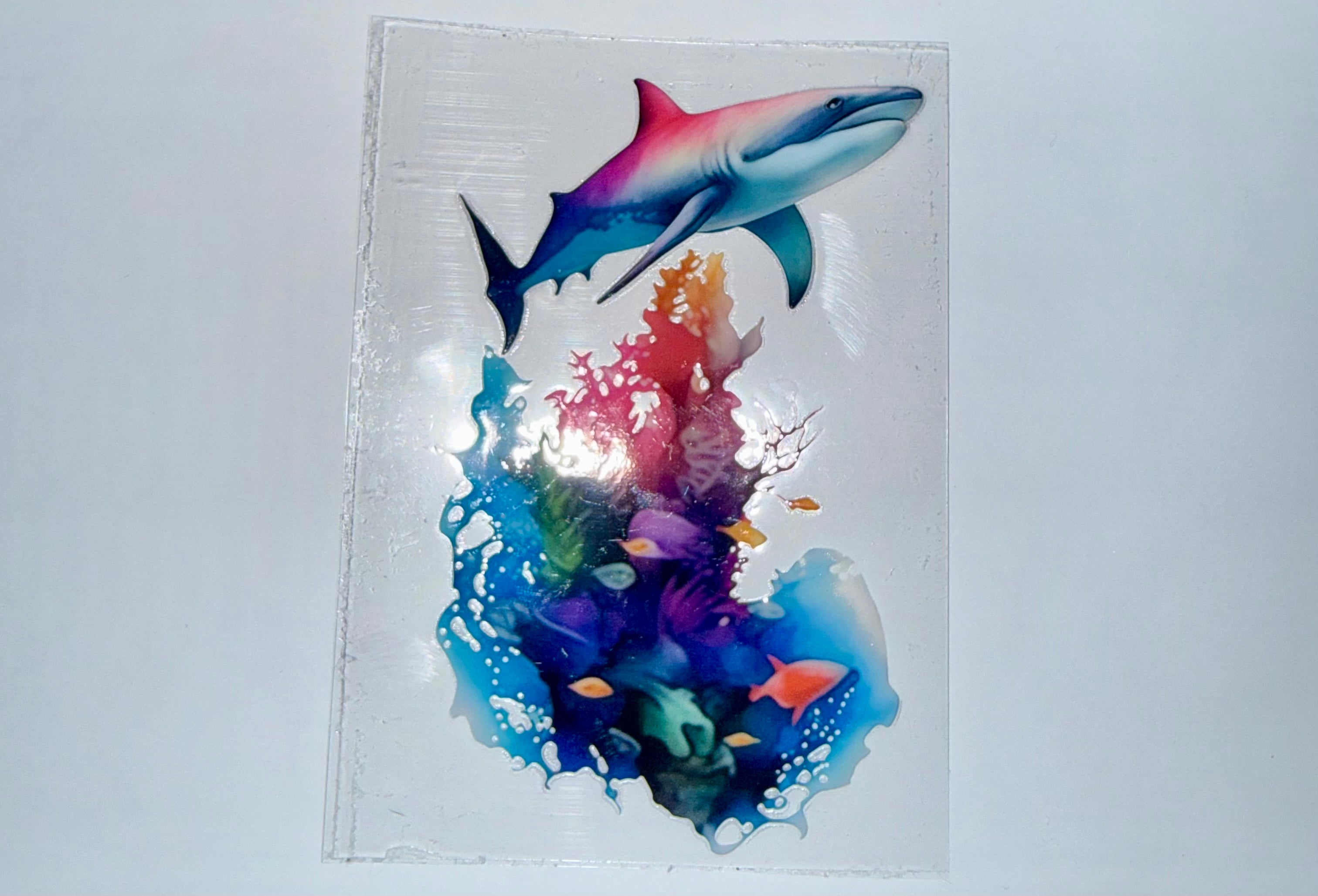 Spring/Summer 25 Decals