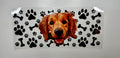 Animal 71 Decals