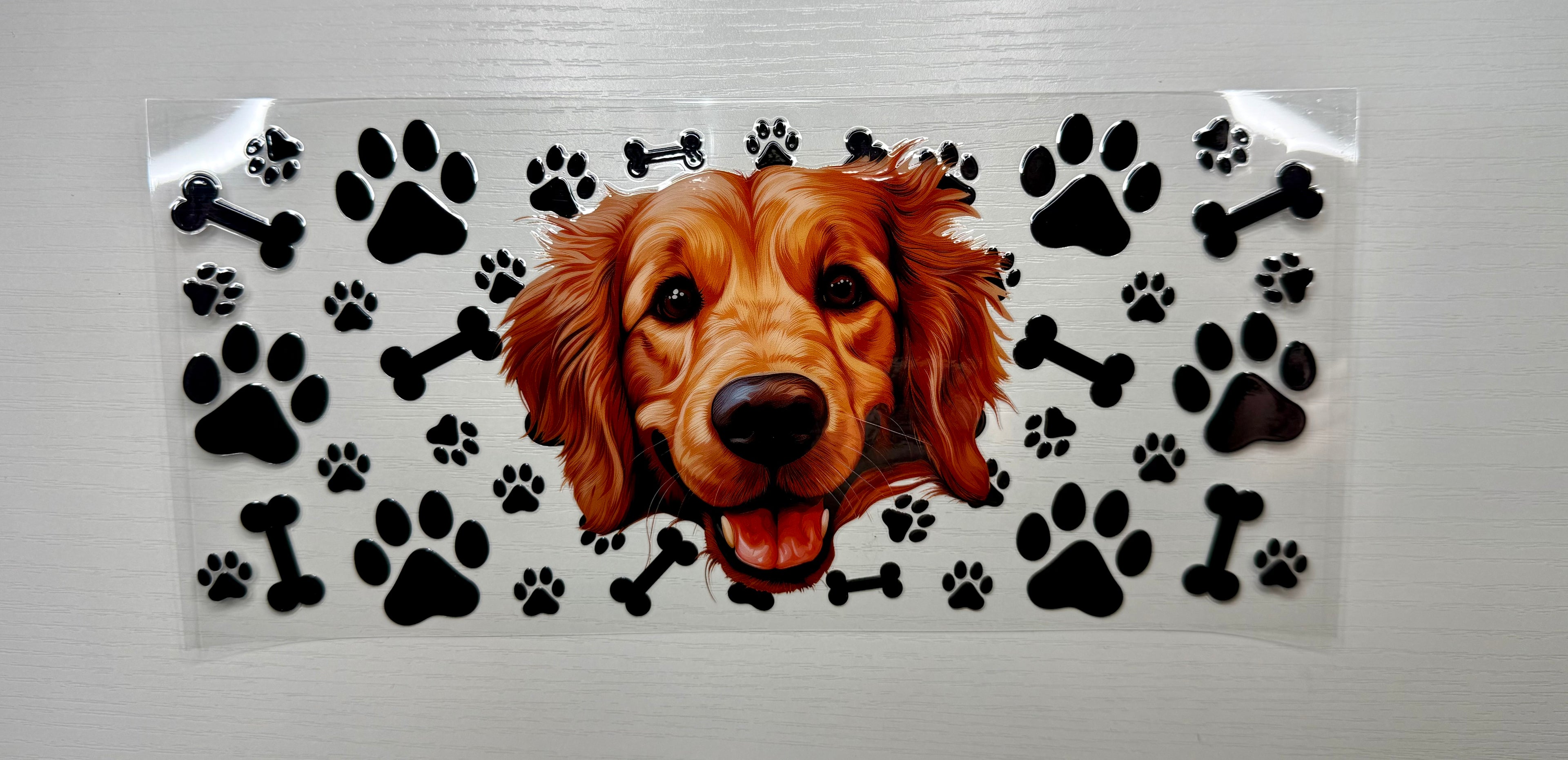 Animal 71 Decals