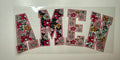 Faith 26 Decals