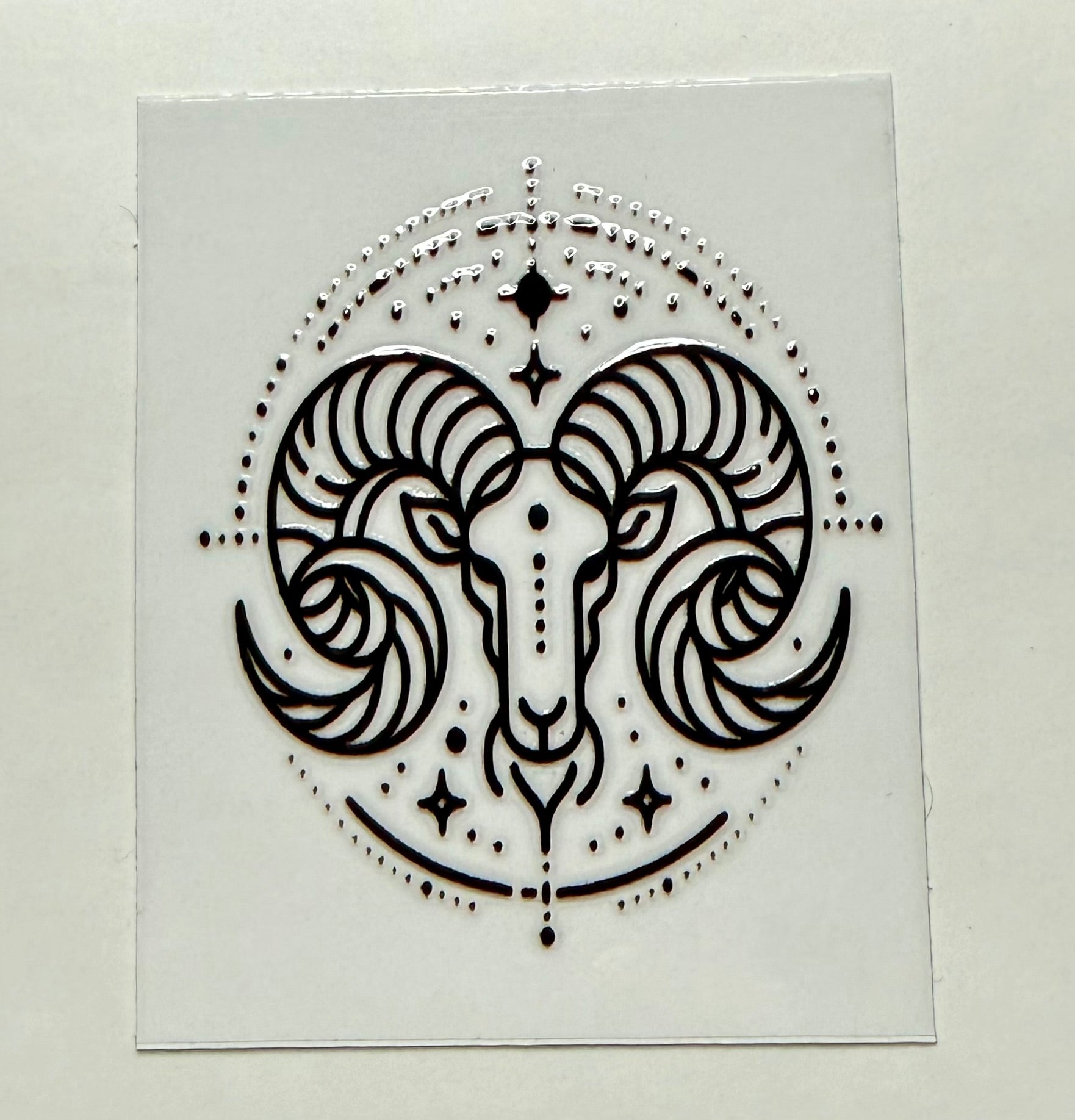 Zodiac 12 Decals