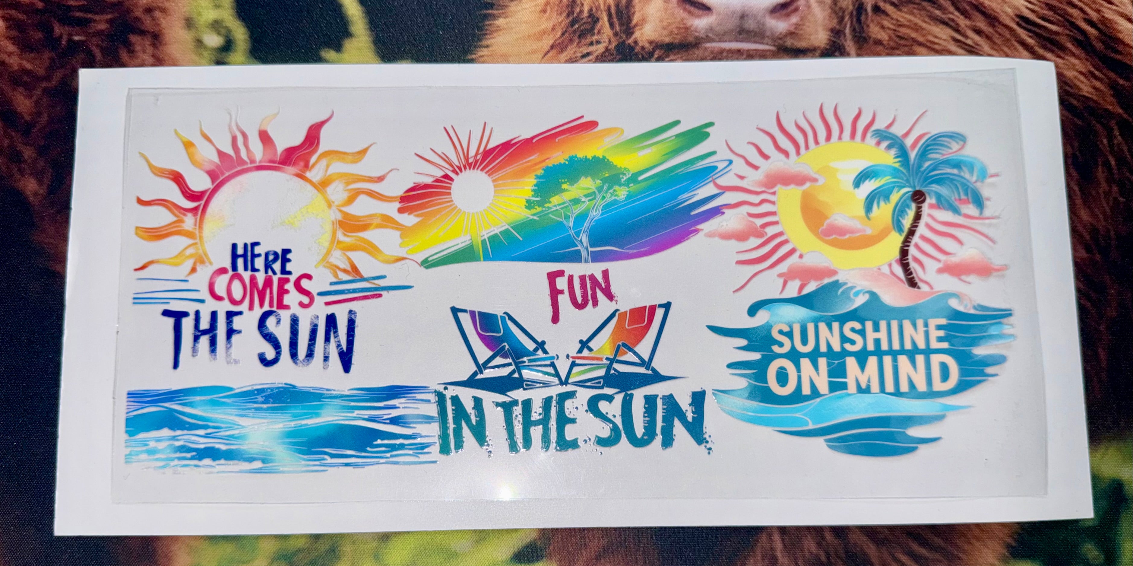 Spring/Summer 1 Decals