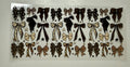 Bow 29 Decals