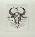 Zodiac 11 Decals