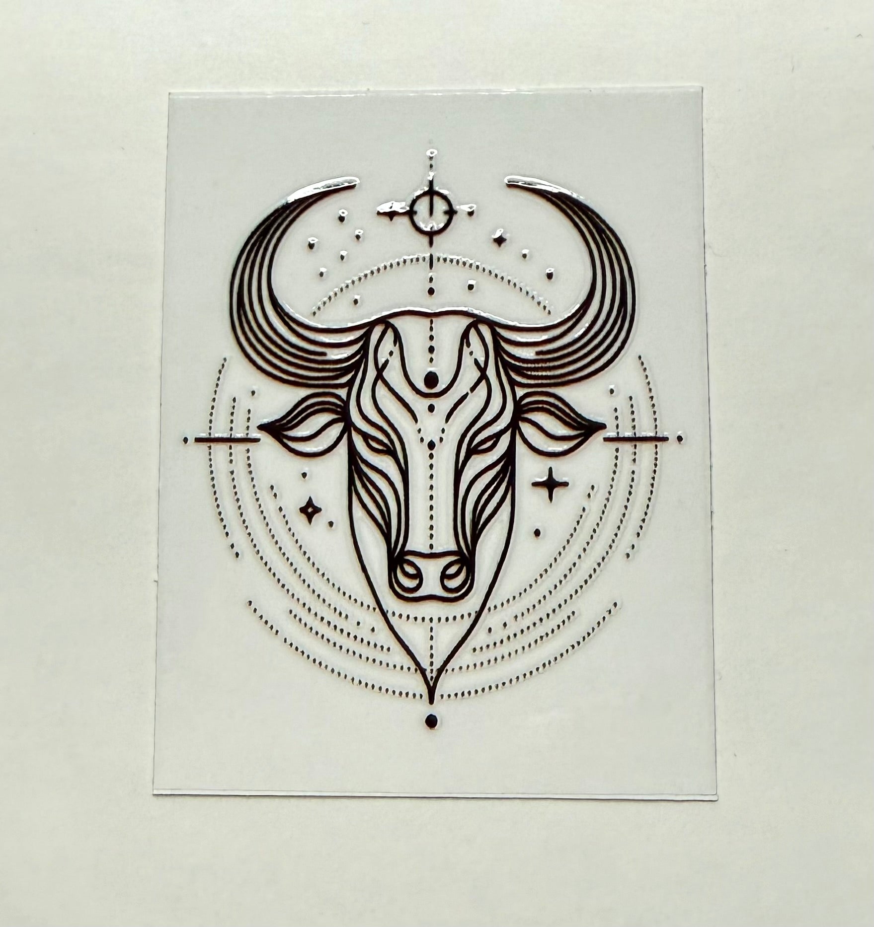 Zodiac 11 Decals