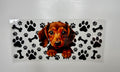Animal 70 Decals