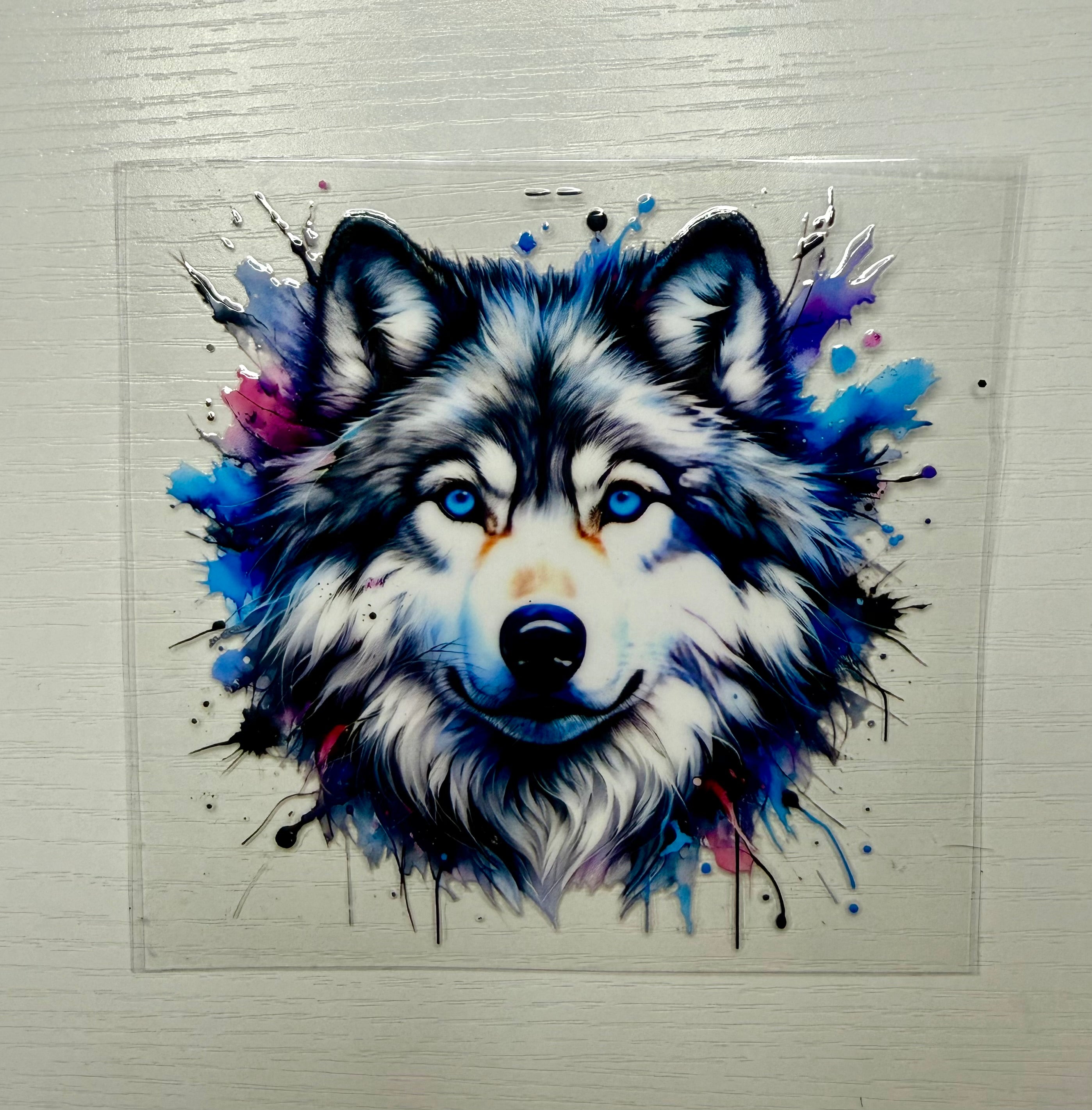Animal 67 Decals