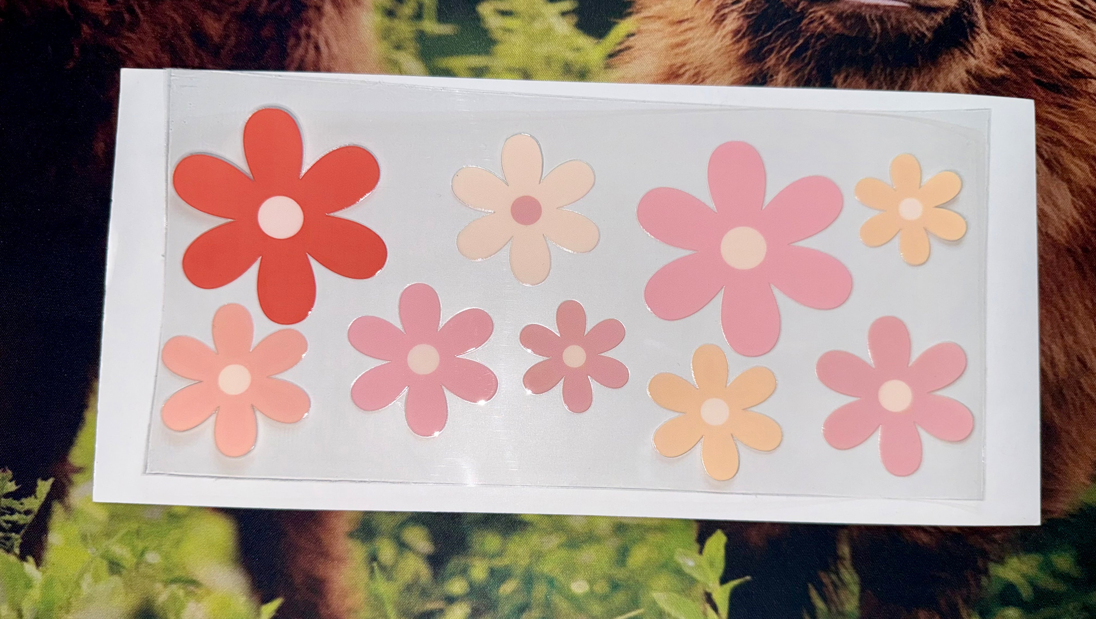 Spring/Summer 18 Decals
