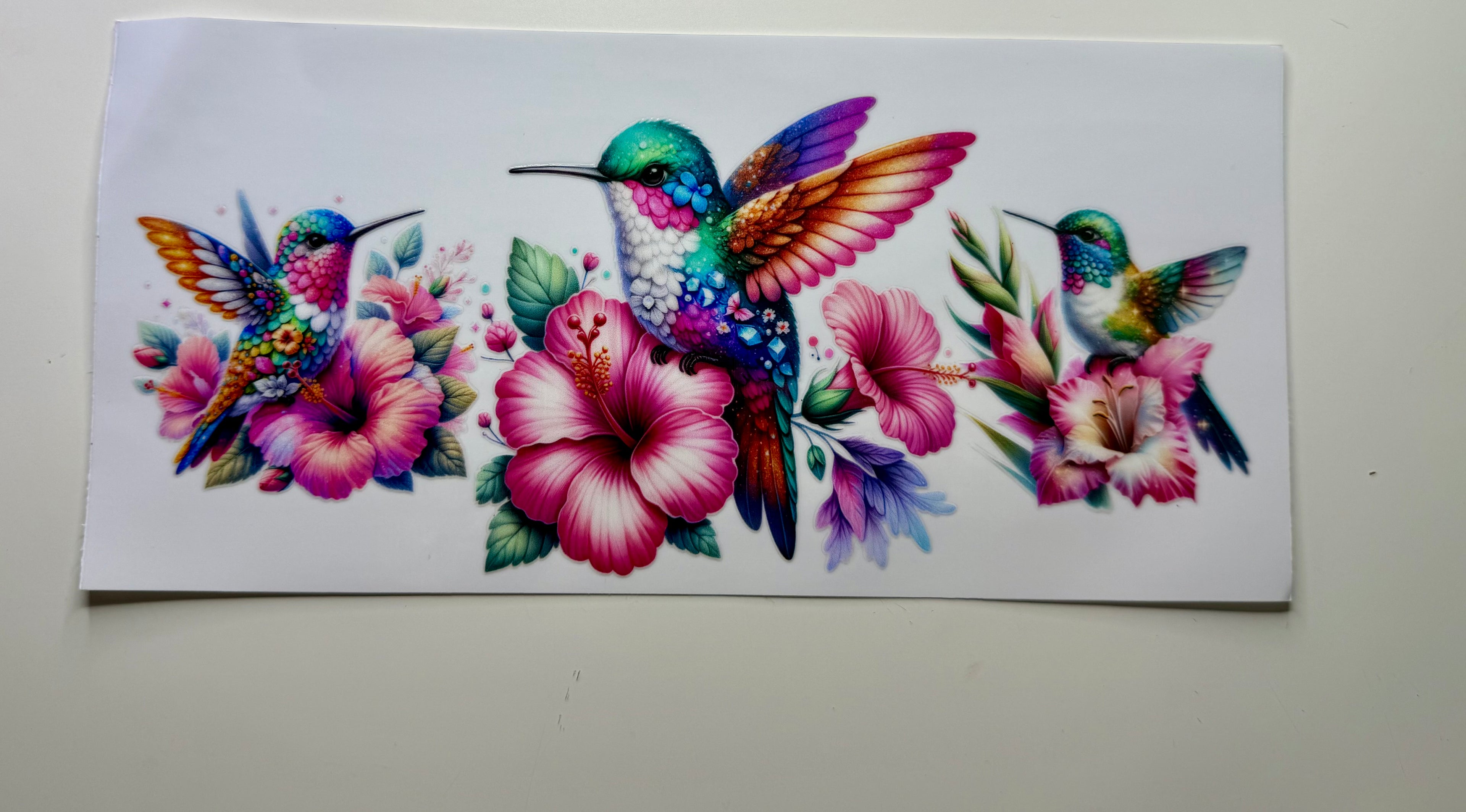 Animal 22 Decals