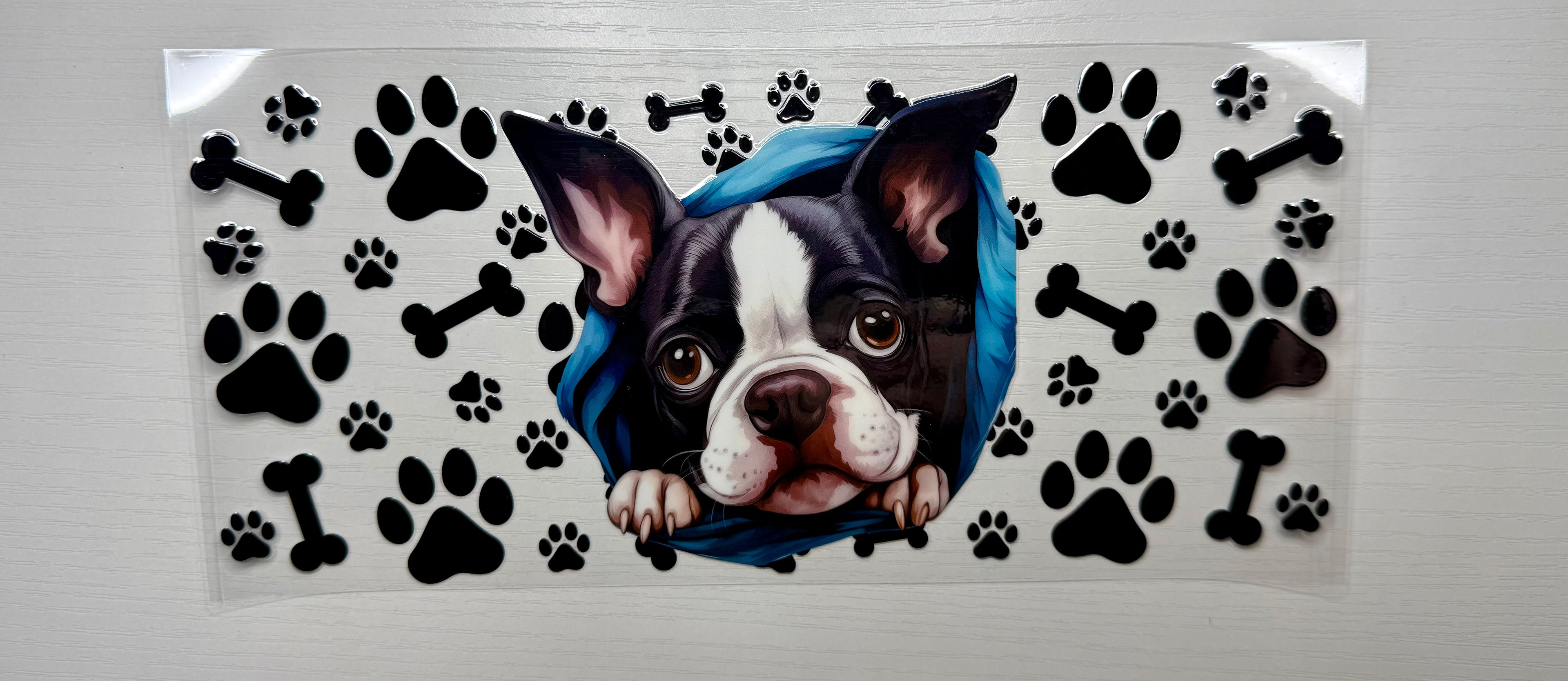 Animal 72 Decals
